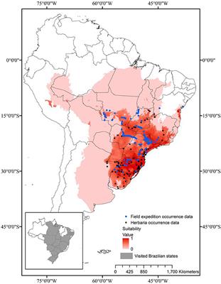 Assessment of Gene Flow to Wild Relatives and Nutritional Composition of Sugarcane in Brazil